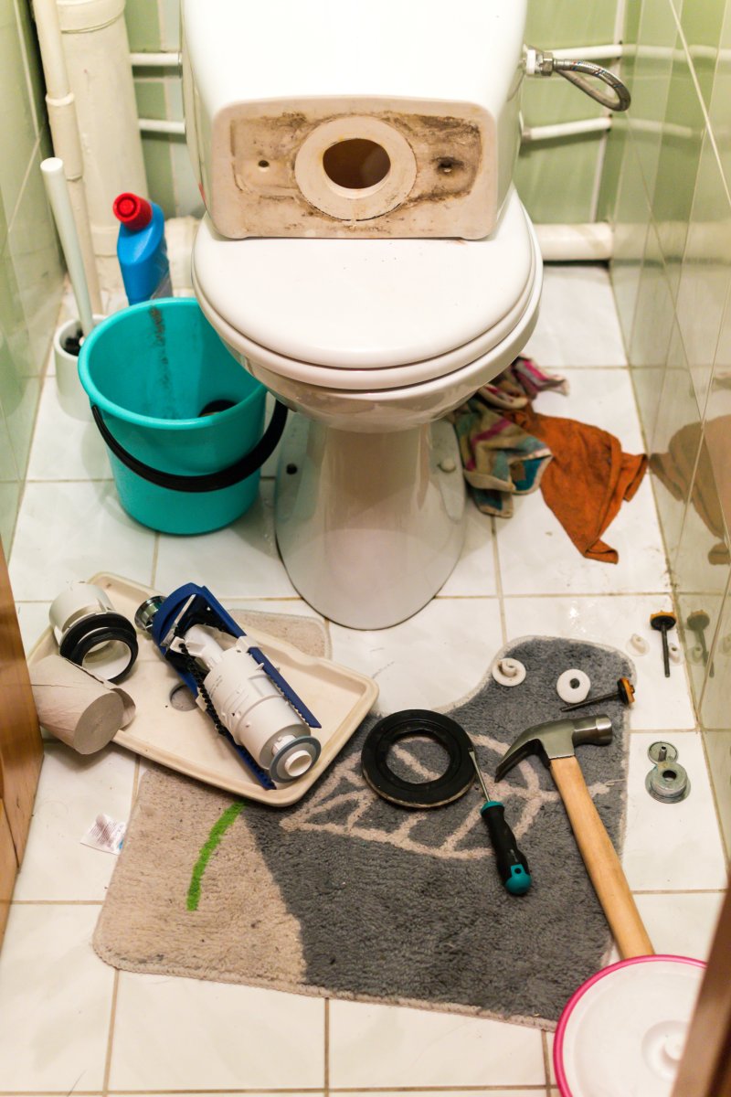 New toilet being installed in a Tufnell Park bathroom
